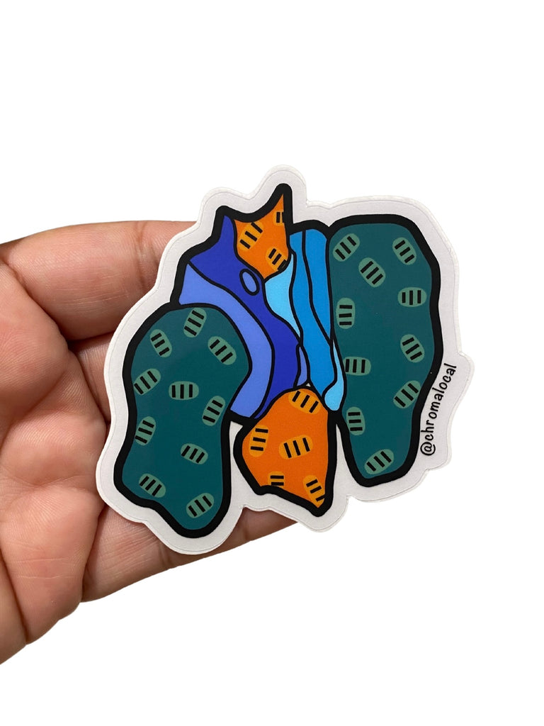 CHROMA LOCAL- Mural Fragment Sticker