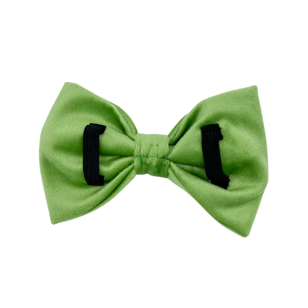 MOLLY & CO. - Pet Bowtie- Fern Velvet