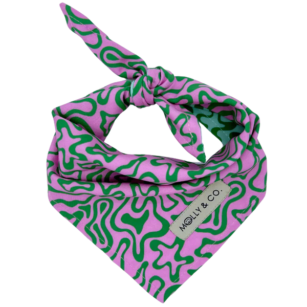 MOLLY & CO. - Reversible Dog Bandana- Seaweed