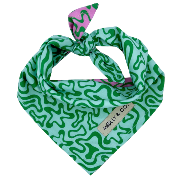 MOLLY & CO. - Reversible Dog Bandana- Seaweed