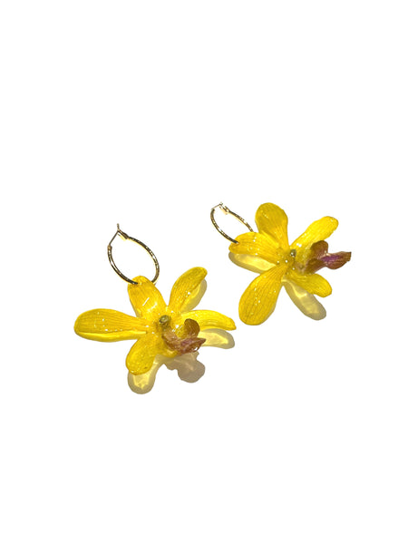 FLORE.C - Yellow Orchid Hoops - O.02