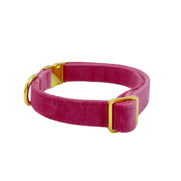 MOLLY & CO. - Collar- Rose Velvet