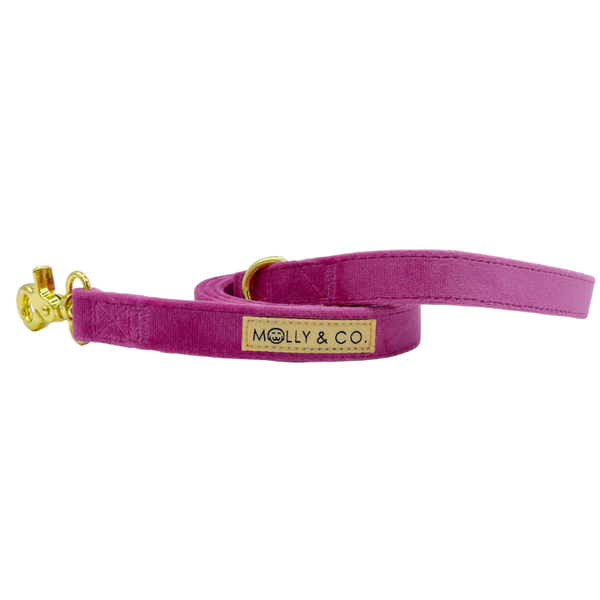 MOLLY & CO. - Leash- Rose Velvet