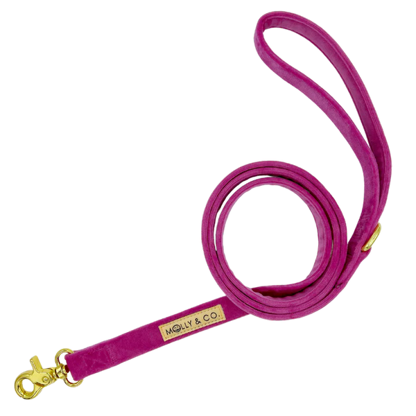 MOLLY & CO. - Leash- Rose Velvet