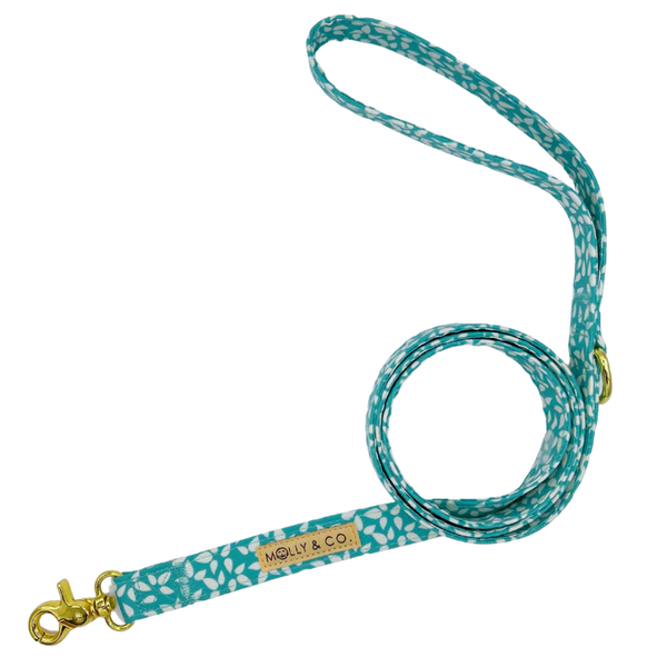 MOLLY & CO. - Leash- Seafoam