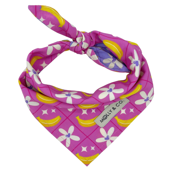 MOLLY & CO. - Reversible Dog Bandana- Barkie World