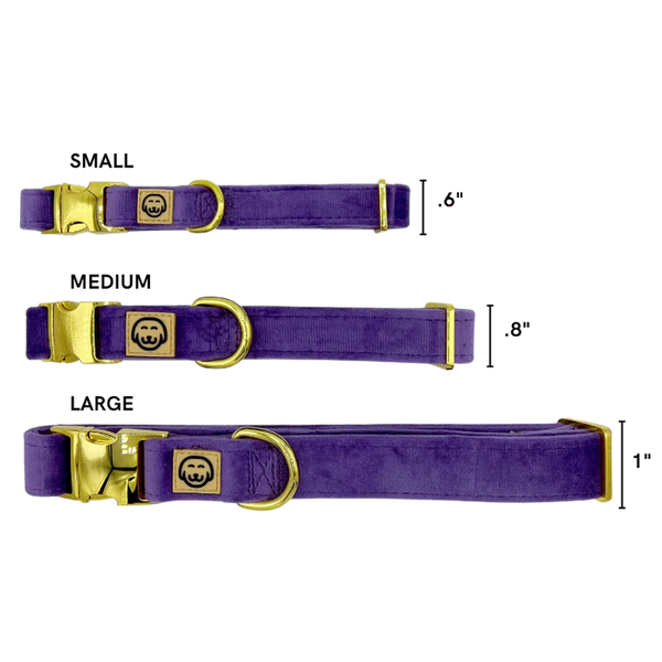 MOLLY & CO. - Collar- Violet Velvet