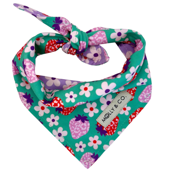 MOLLY & CO- Reversible Dog Bandana- Strawberry