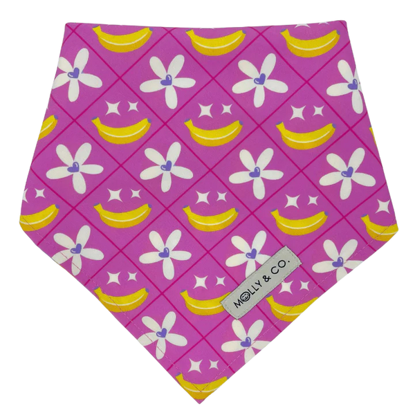 MOLLY & CO. - Reversible Dog Bandana- Barkie World