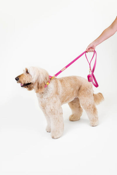 MOLLY & CO. - Leash- Rose Velvet