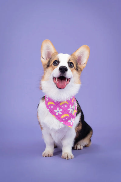 MOLLY & CO. - Reversible Dog Bandana- Barkie World