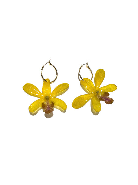 FLORE.C - Yellow Orchid Hoops - O.02