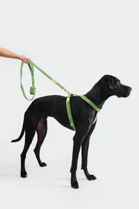 MOLLY & CO. - Adjustable Strap Harness - Fern Velvet