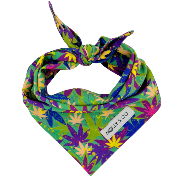 MOLLY & CO- Reversible Dog Bandana- Cannapaws