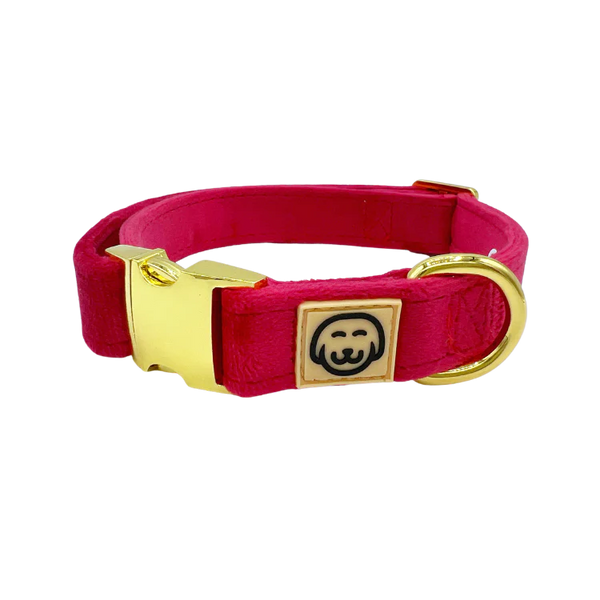 MOLLY & CO. - Collar- Scarlet Velvet