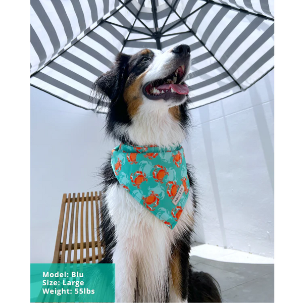 MOLLY & CO. - Dog Bandana- Crab Catch