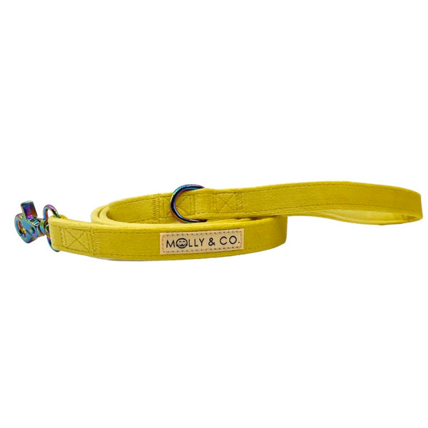 MOLLY & CO. - Leash- Sunshine Velvet