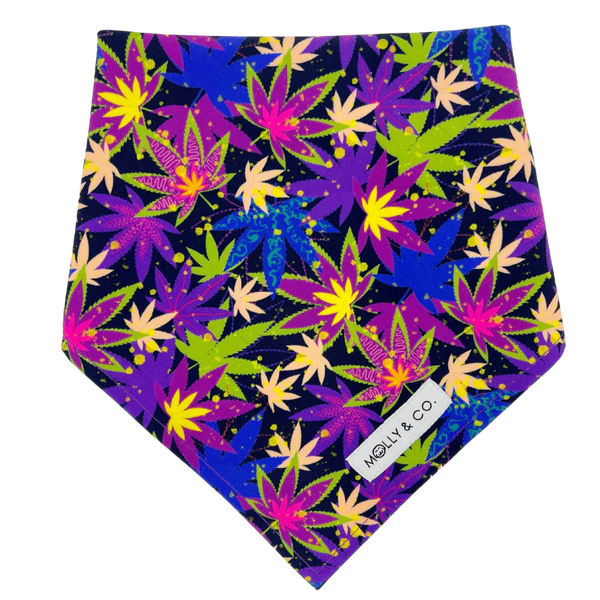 MOLLY & CO- Reversible Dog Bandana- Cannapaws