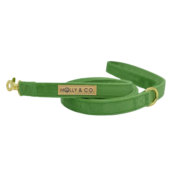 MOLLY & CO. - Leash- Fern Velvet