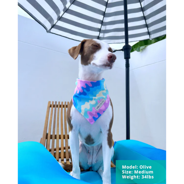 MOLLY & CO. - Reversible Dog Bandana- Ice Cream