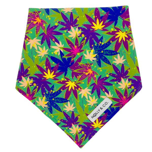 MOLLY & CO- Reversible Dog Bandana- Cannapaws