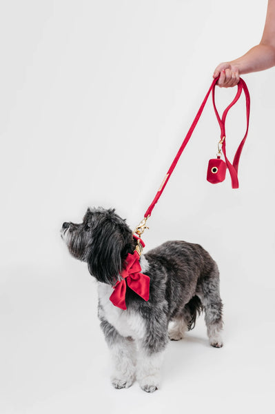 MOLLY & CO. - Leash- Scarlet Velvet