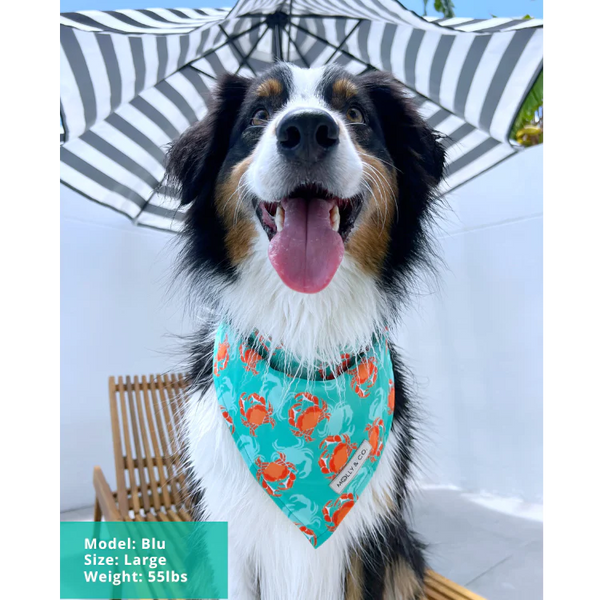 MOLLY & CO. - Dog Bandana- Crab Catch