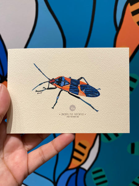 PUPA BY GIO- Art Print- Large Milkweed Bug