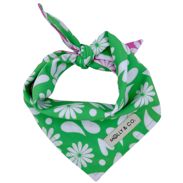 MOLLY & CO. - Reversible Dog Bandana- Petals