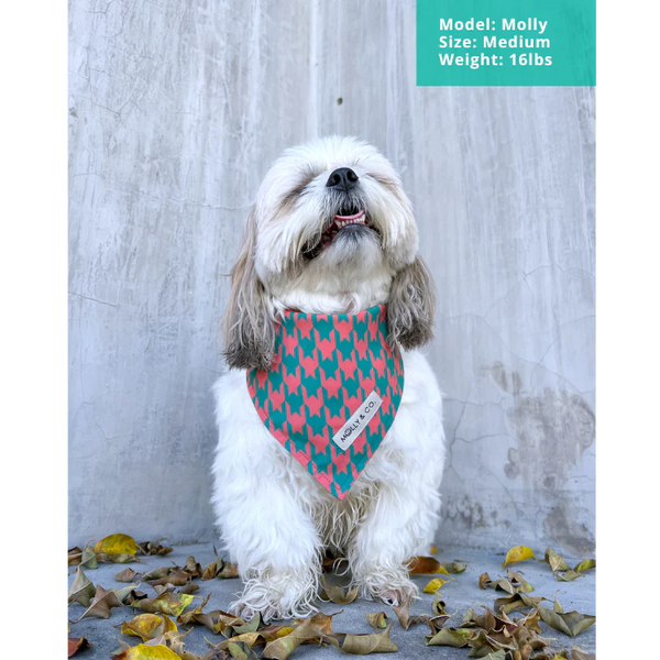 MOLLY & CO.- Dog Bandana- Houndstooth