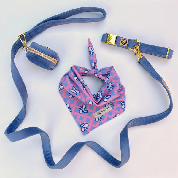 MOLLY & CO- Reversible Dog Bandana- Queen Bee