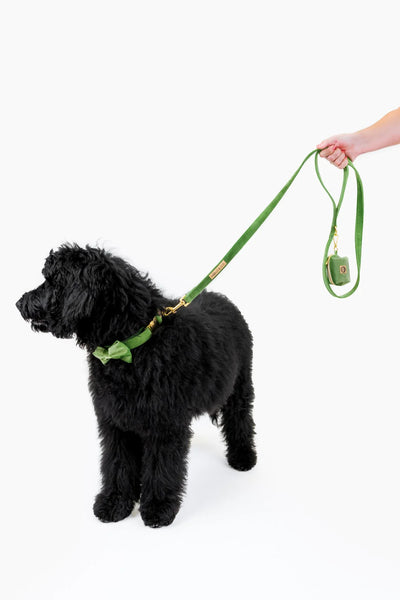 MOLLY & CO. - Leash- Fern Velvet