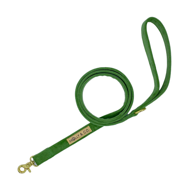 MOLLY & CO. - Leash- Fern Velvet