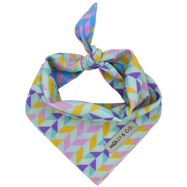 MOLLY & CO. - Reversible Dog Bandana- Aurora