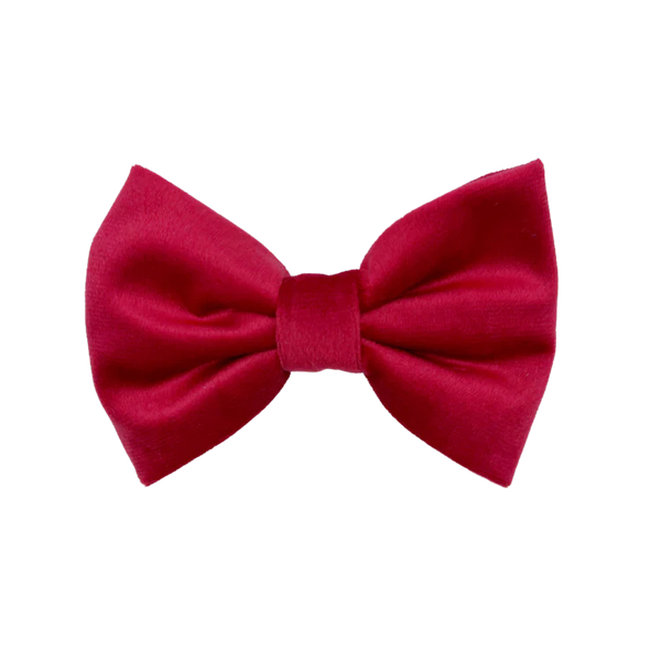 MOLLY & CO. - Pet Bowtie- Scarlet Velvet