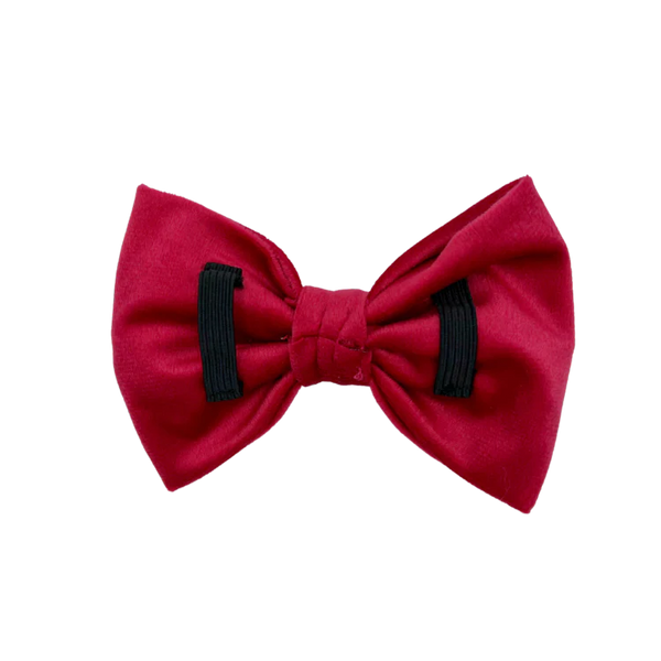 MOLLY & CO. - Pet Bowtie- Scarlet Velvet