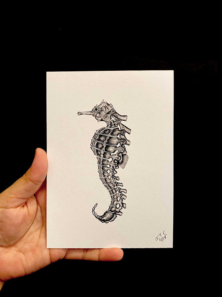ANATOMIKO  -  Postcard- Hippocampus